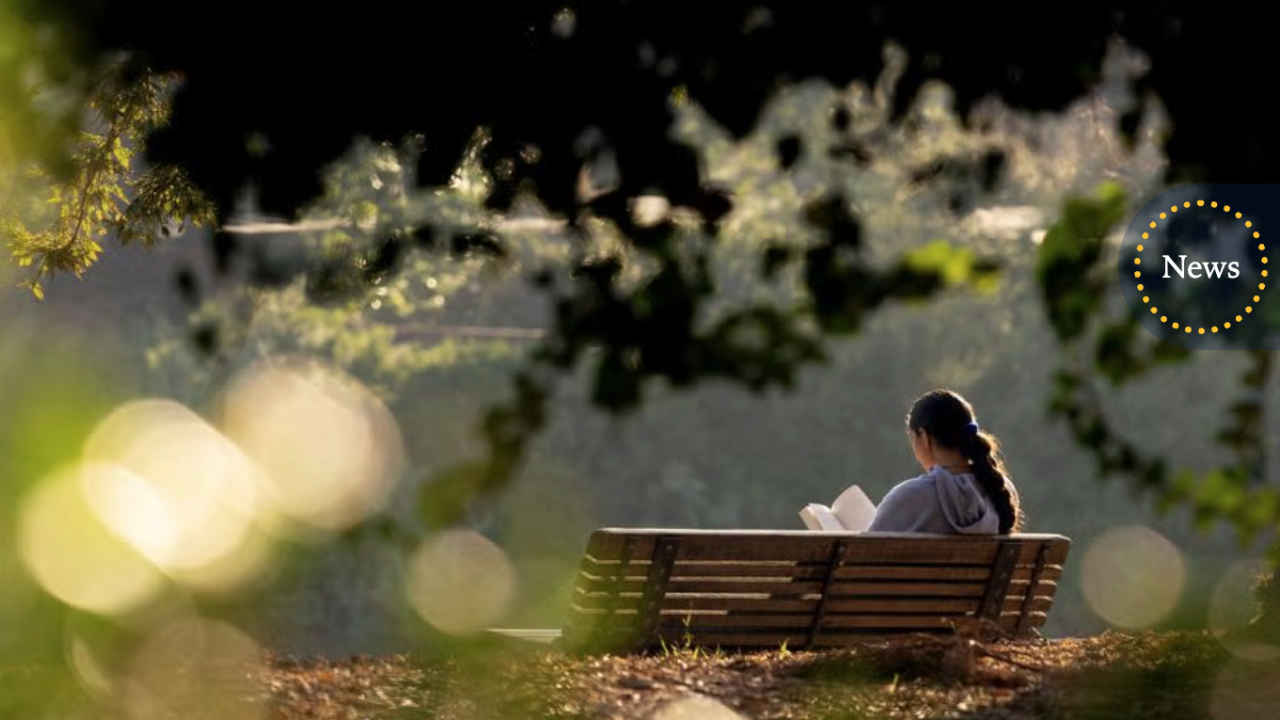 Student sitting on a bench reading a book