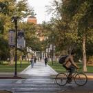 Students walk along the tree-lined quad at UC Davis, with a cyclist in the foreground and campus banners hang from light posts along the path.