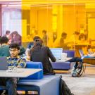 Students immersed in studying  